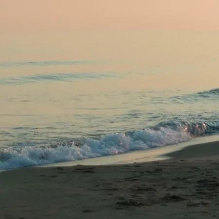 Paraiso Frente Al Mar Apto Duplex * コマルガ
